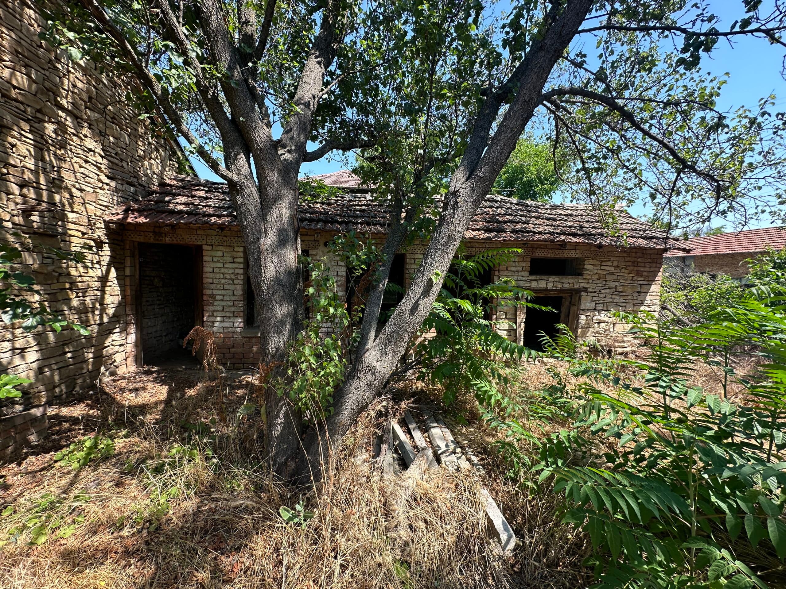 The Cherry Tree House – - thumbnail 6