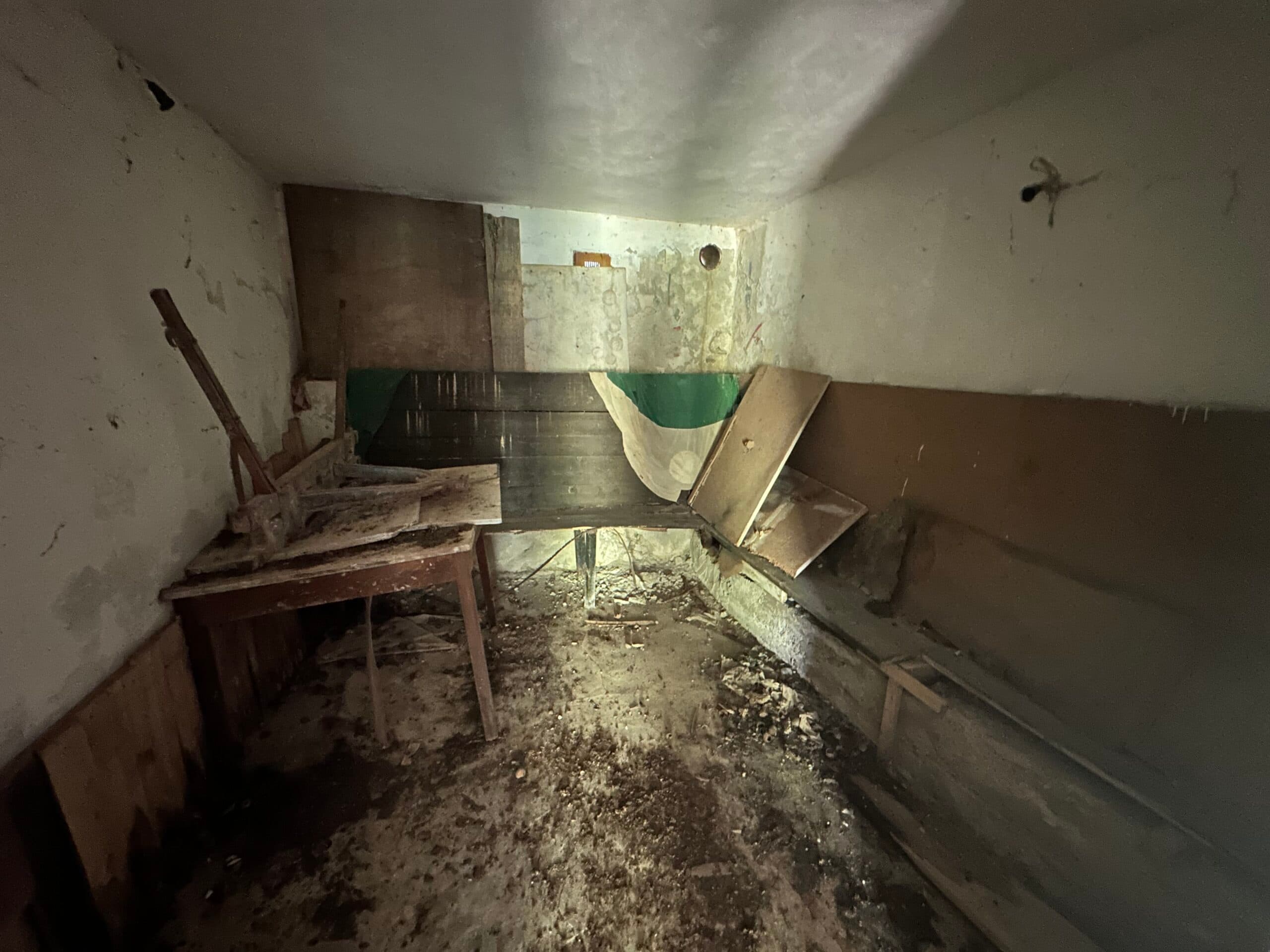 Forest View House – Marchino - thumbnail 12