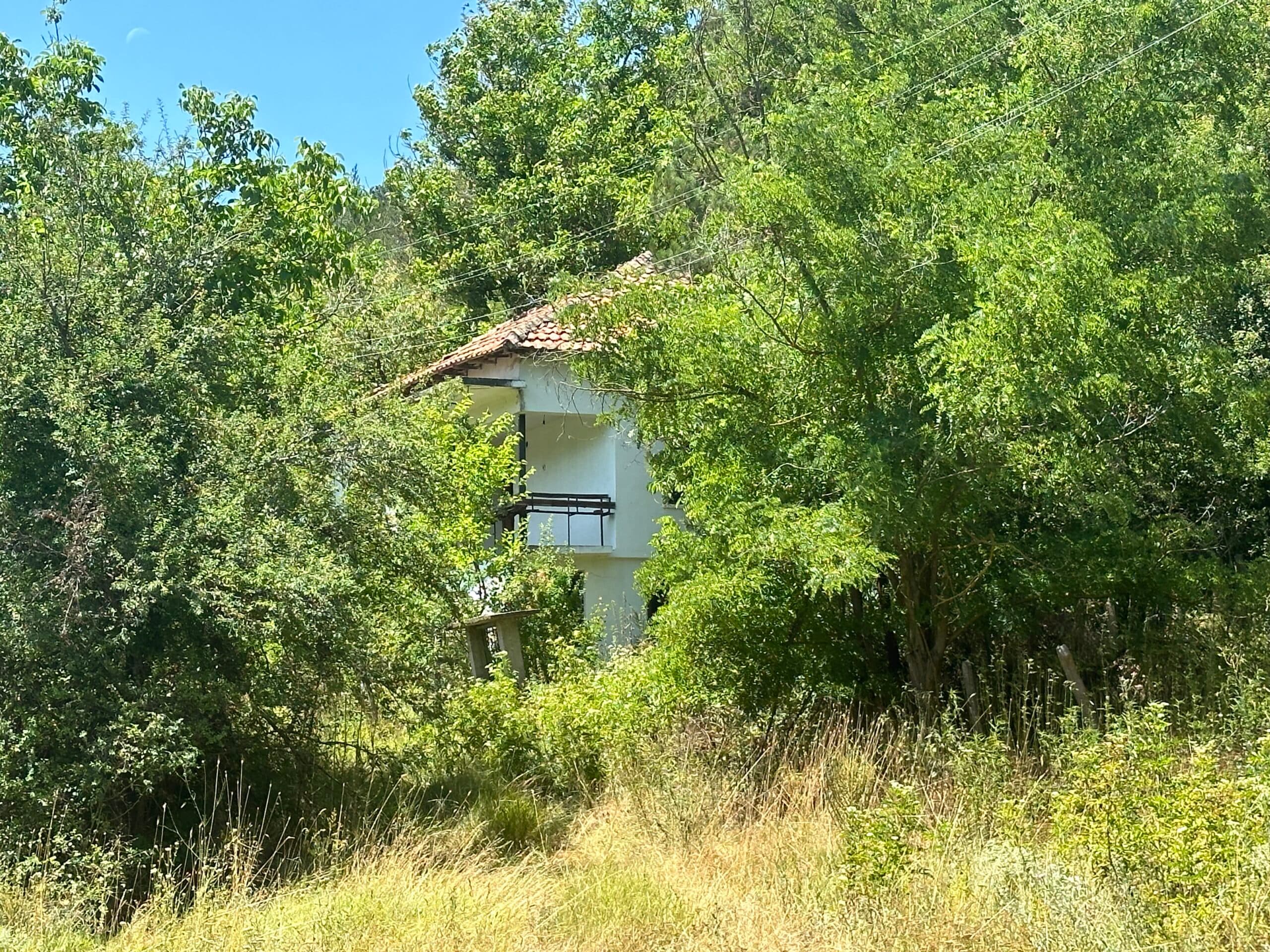 Forest View House – Marchino - thumbnail 20