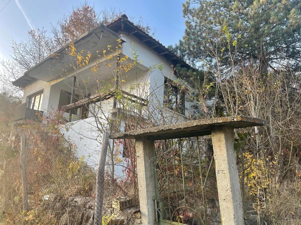 Forest View House – Marchino - thumbnail 2