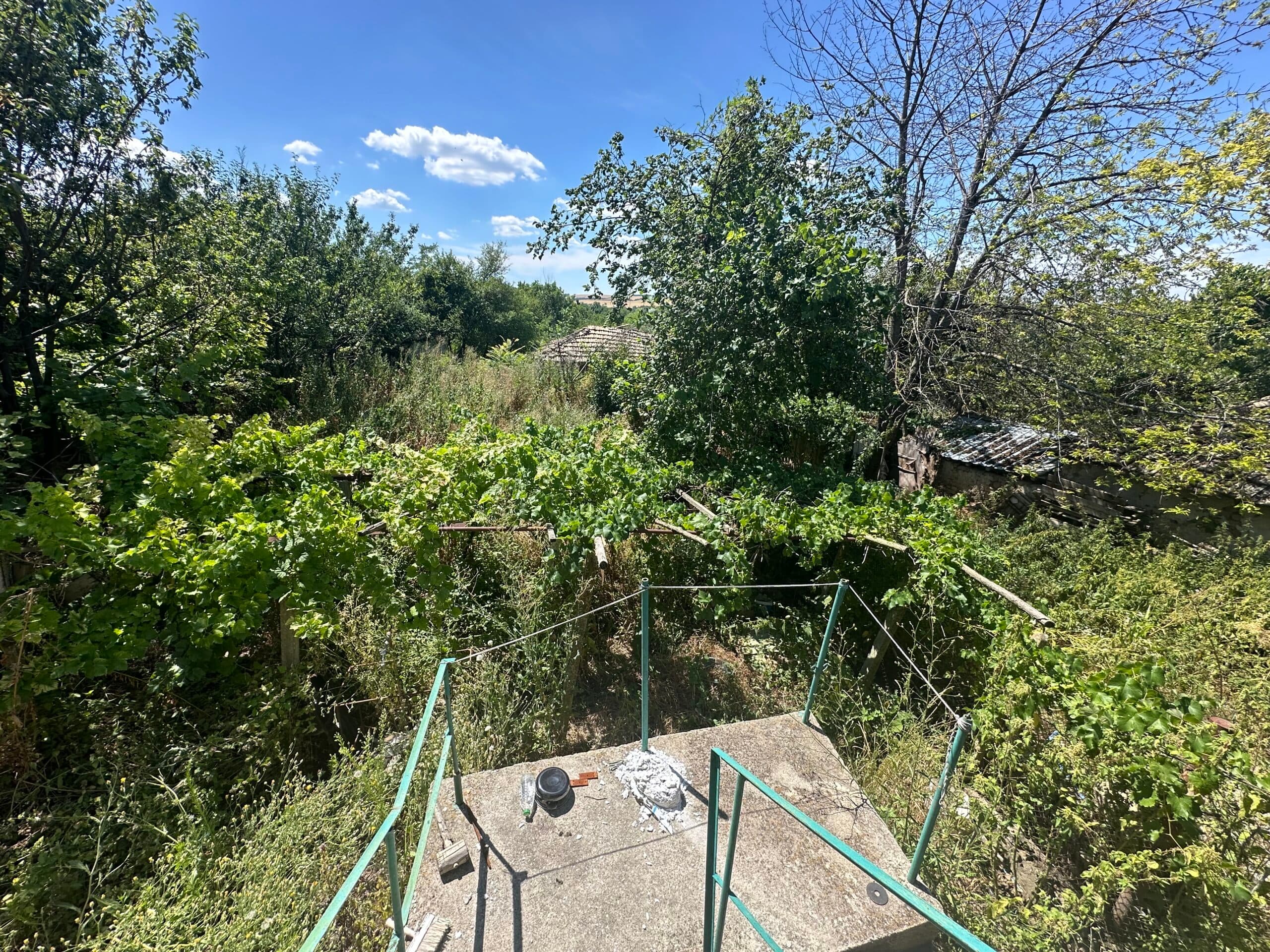 Meadow Brook Cottage – Tsar Asen - thumbnail 8