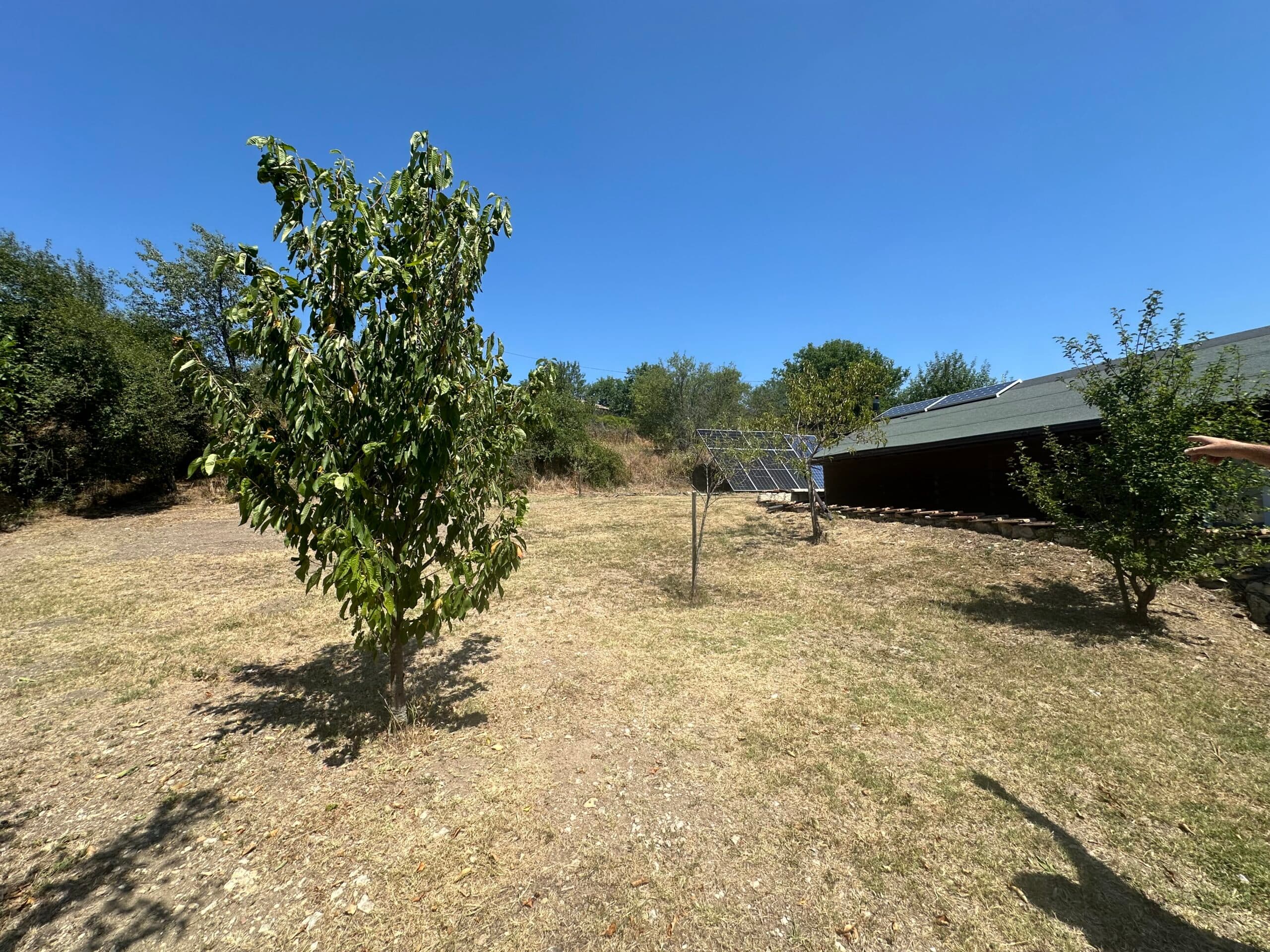 Sids Dream House – Osikovo - thumbnail 13