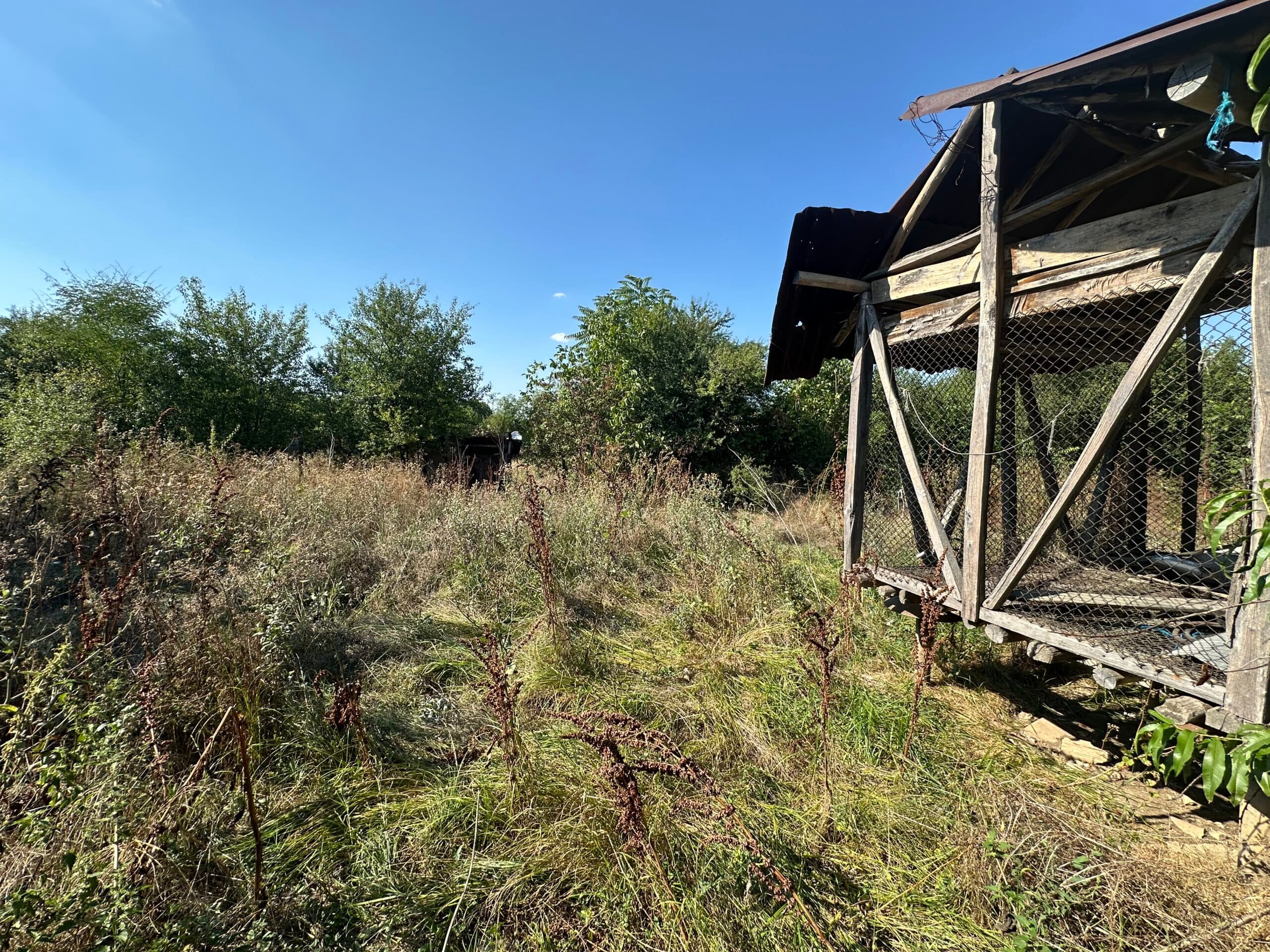 Horizon House – Lomtsi - thumbnail 4