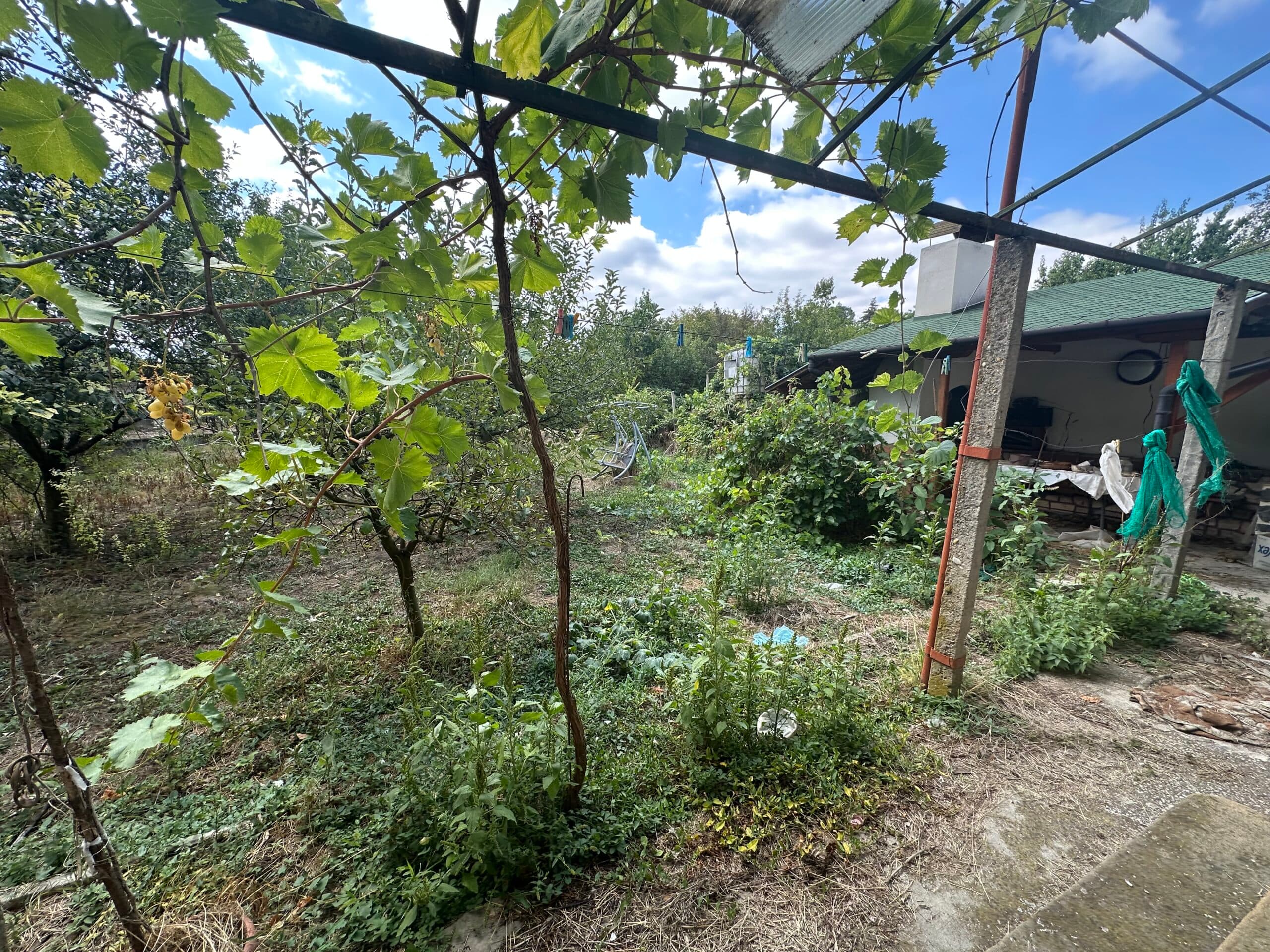 The Albion House – Lom Cherkovna - thumbnail 8