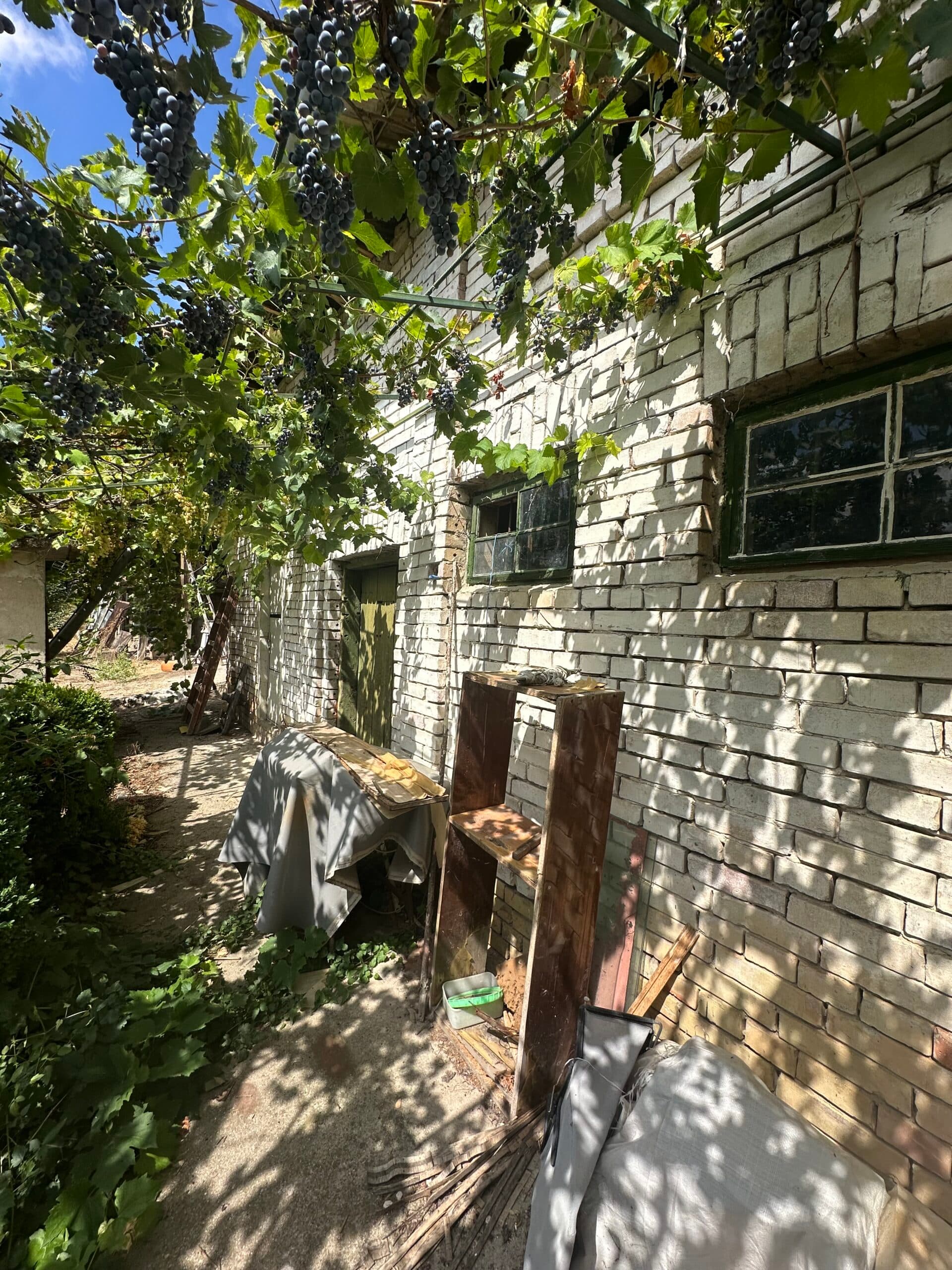 The Albion House – Lom Cherkovna - thumbnail 4