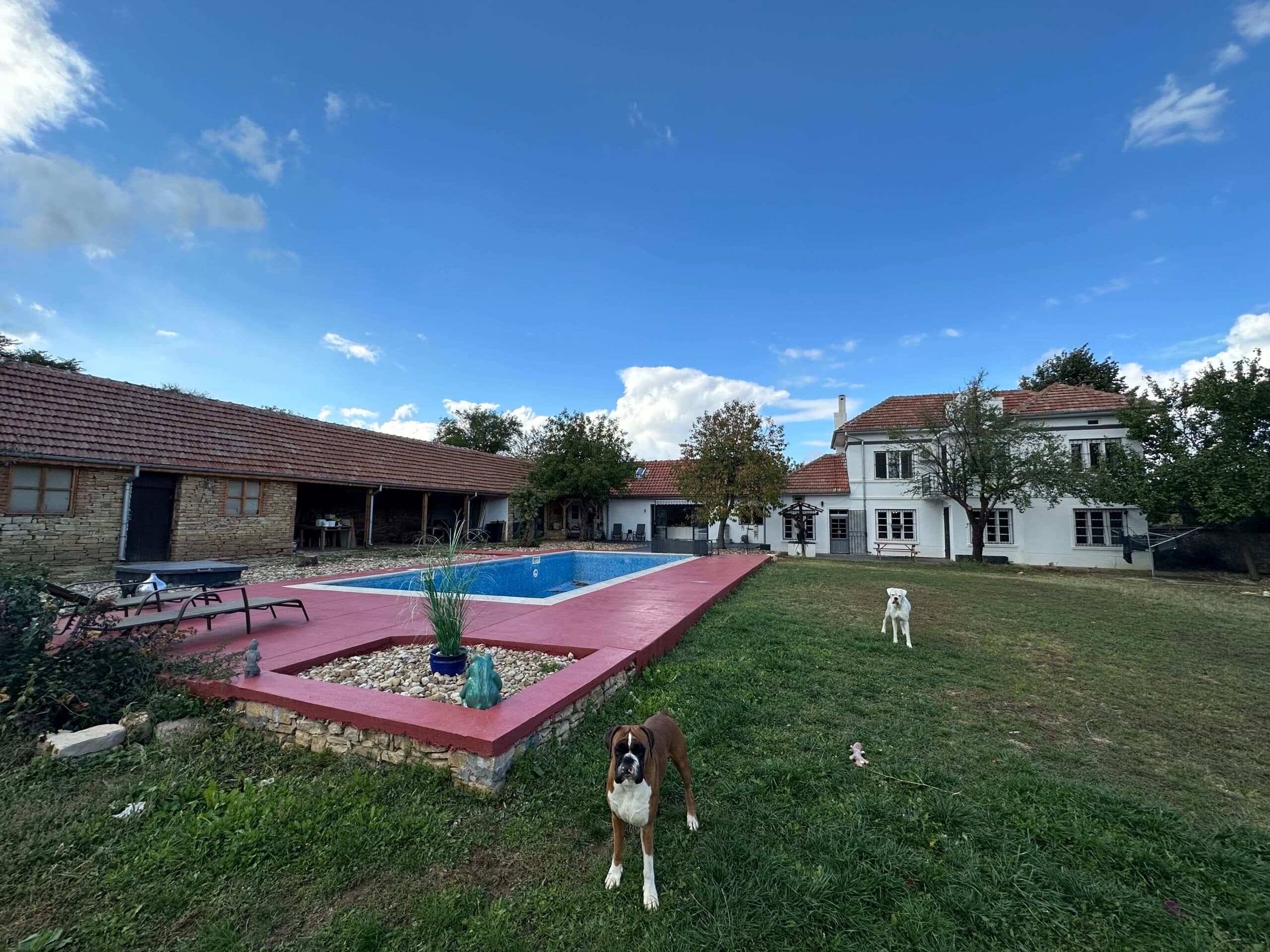 The Secret Garden – Stefan Stambolovo - thumbnail 5