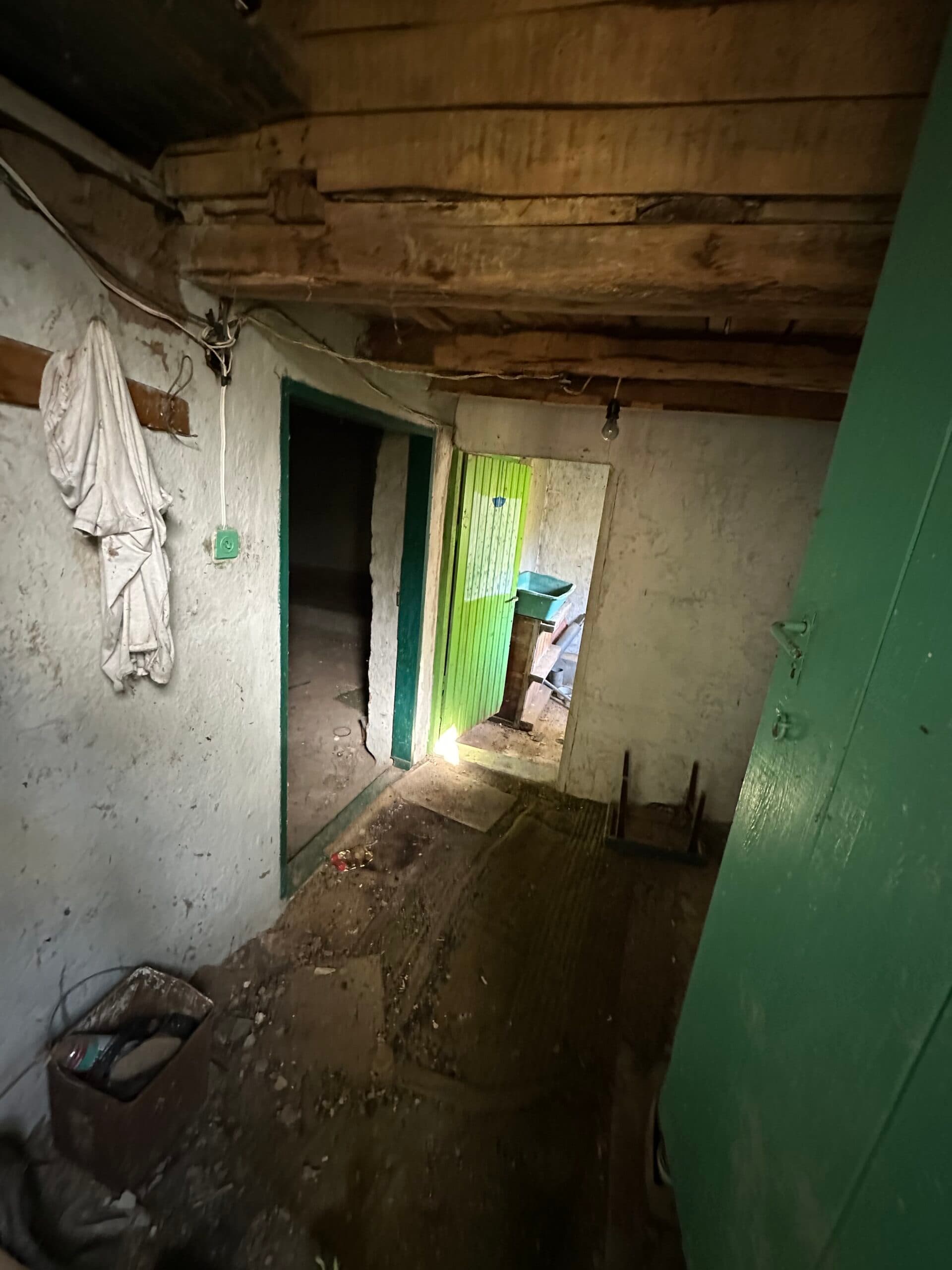 Shrubbery House – Tsar Asen - thumbnail 6