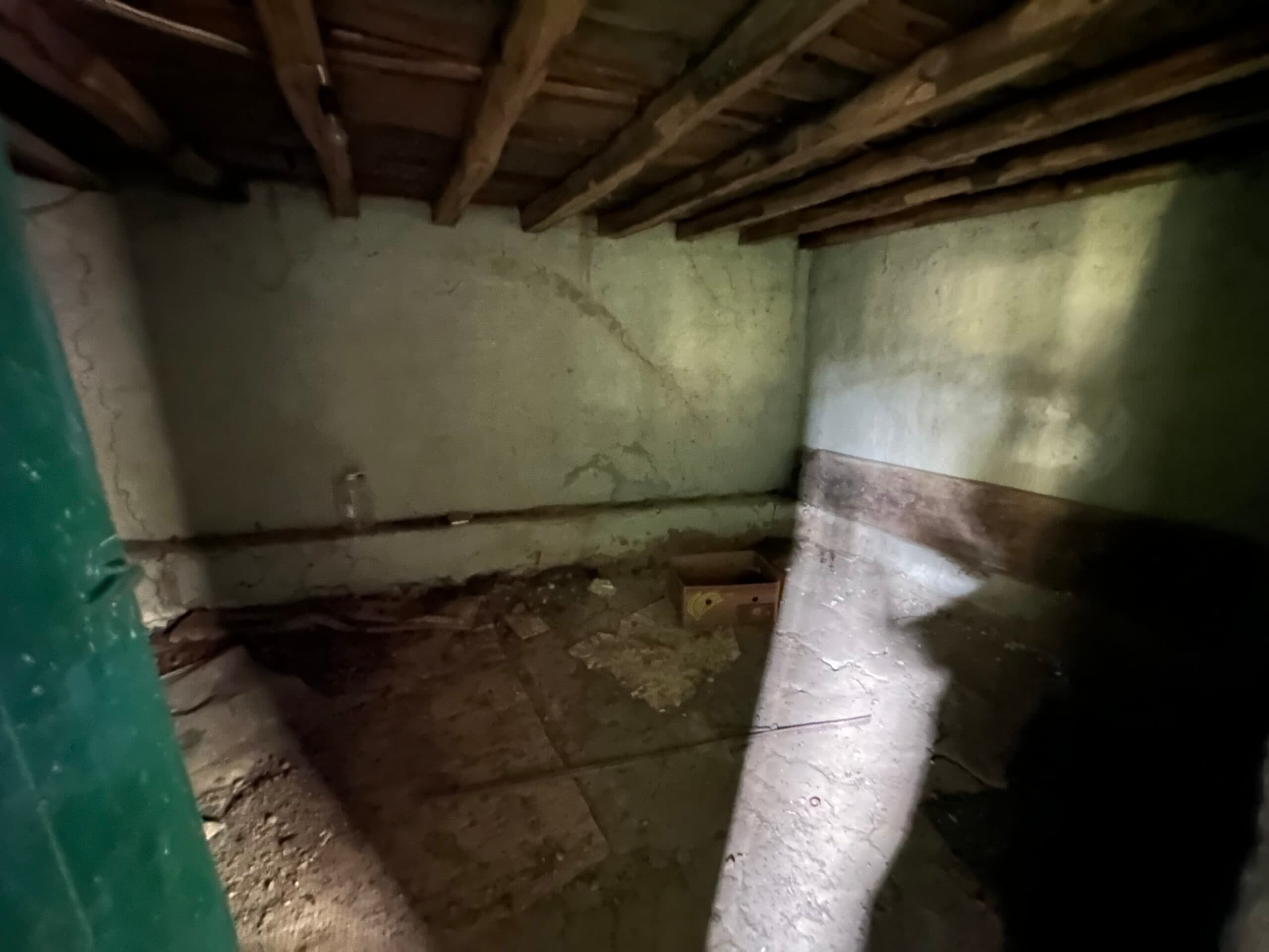 Shrubbery House – Tsar Asen - thumbnail 4