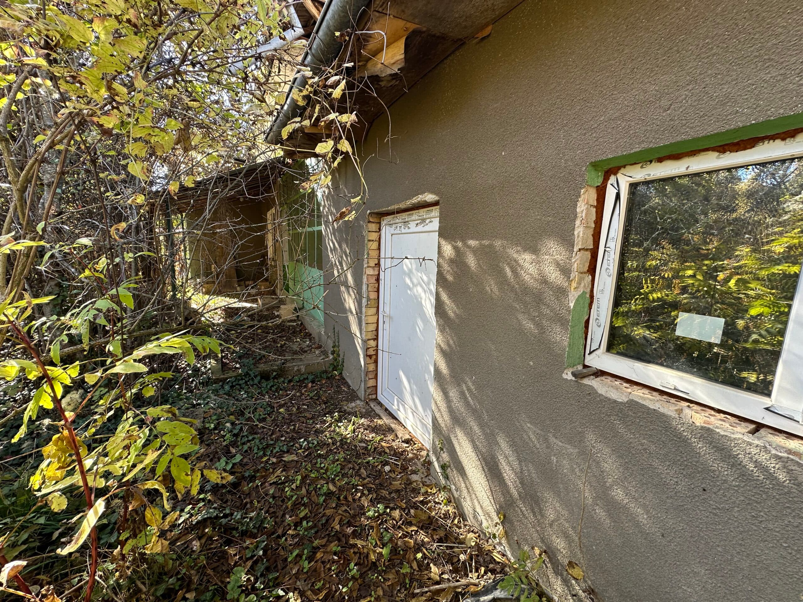 Shrubbery House – Tsar Asen