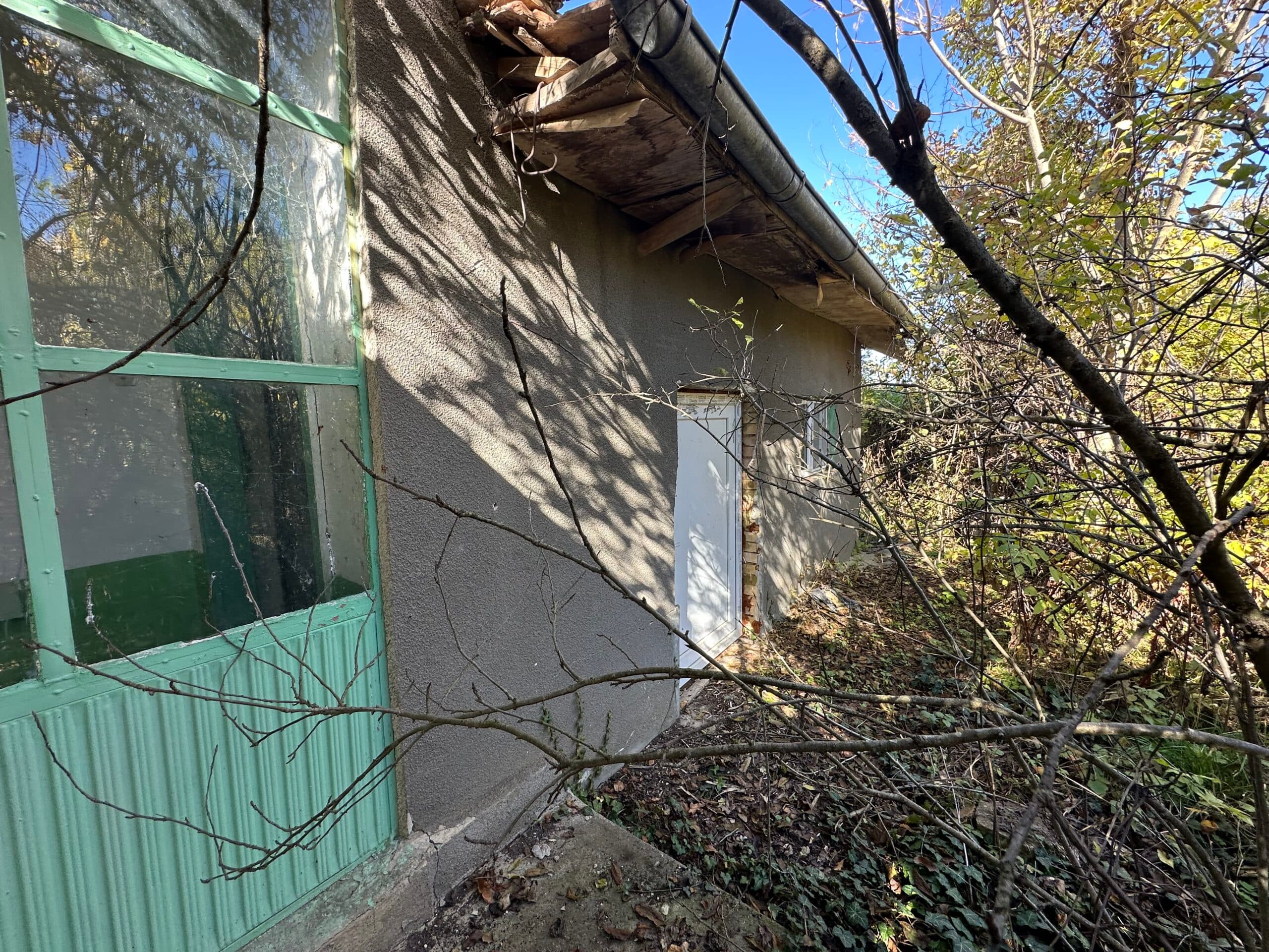 Shrubbery House – Tsar Asen - thumbnail 14