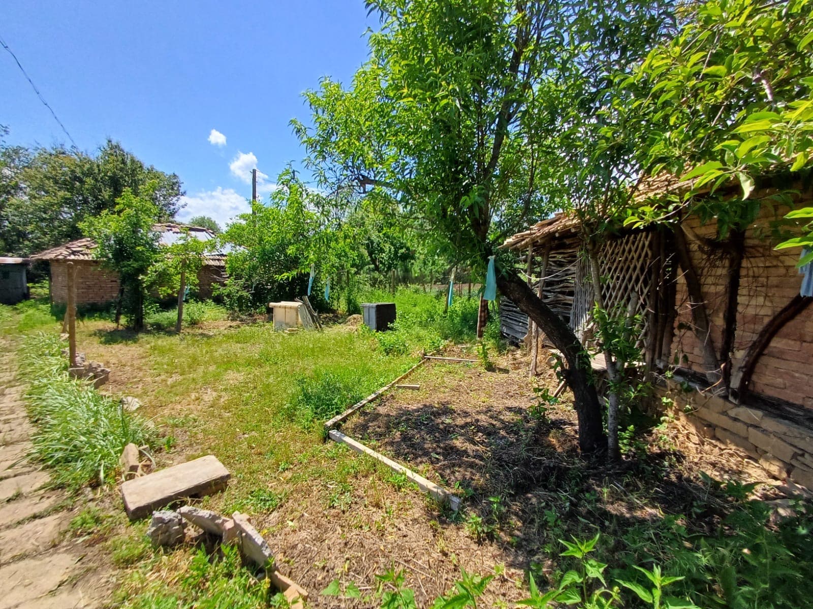 The Old Winery House – Kardam - thumbnail 17