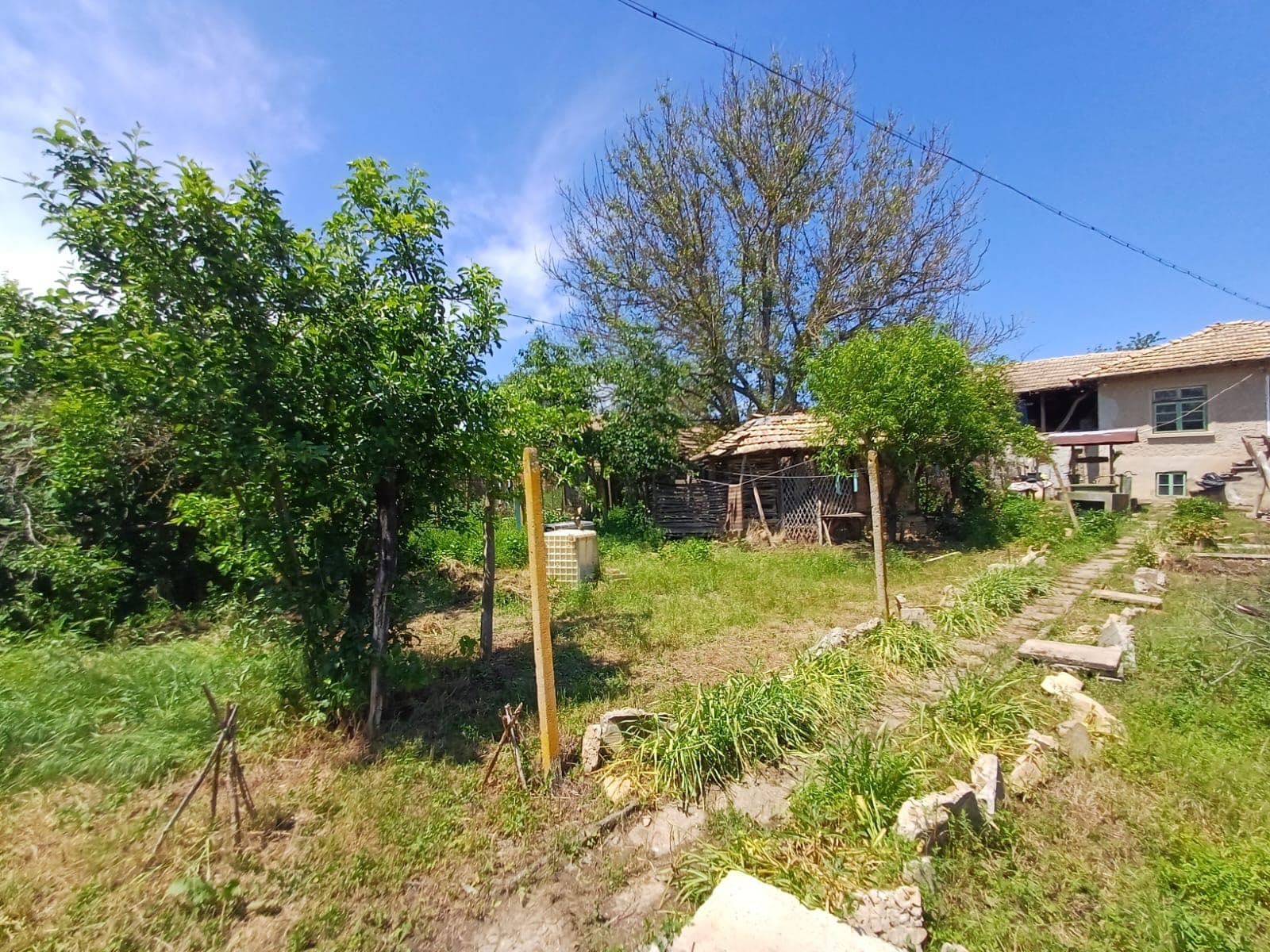 The Old Winery House – Kardam - thumbnail 15