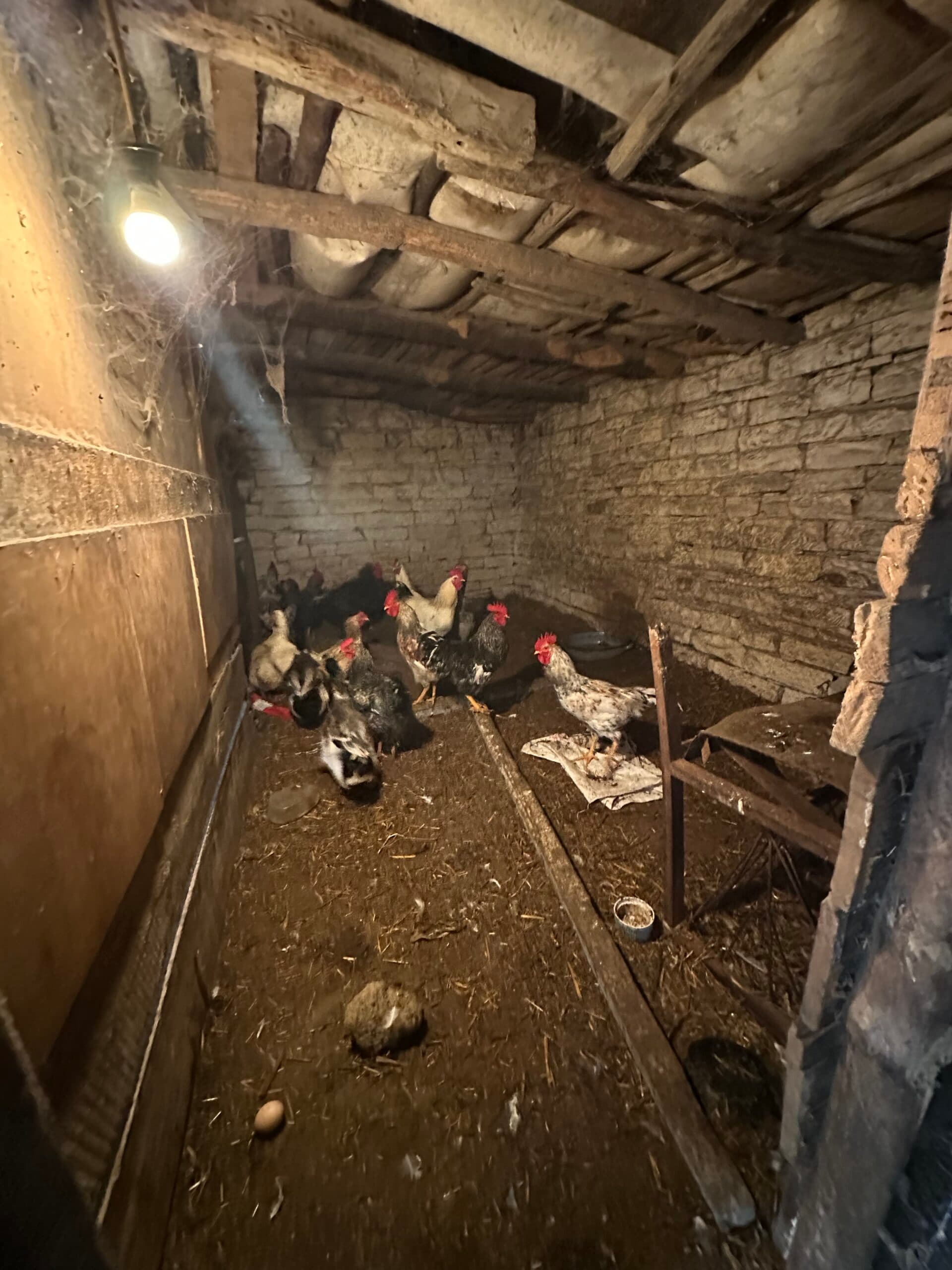 Toadstool House – Lom Cherkovna - thumbnail 13