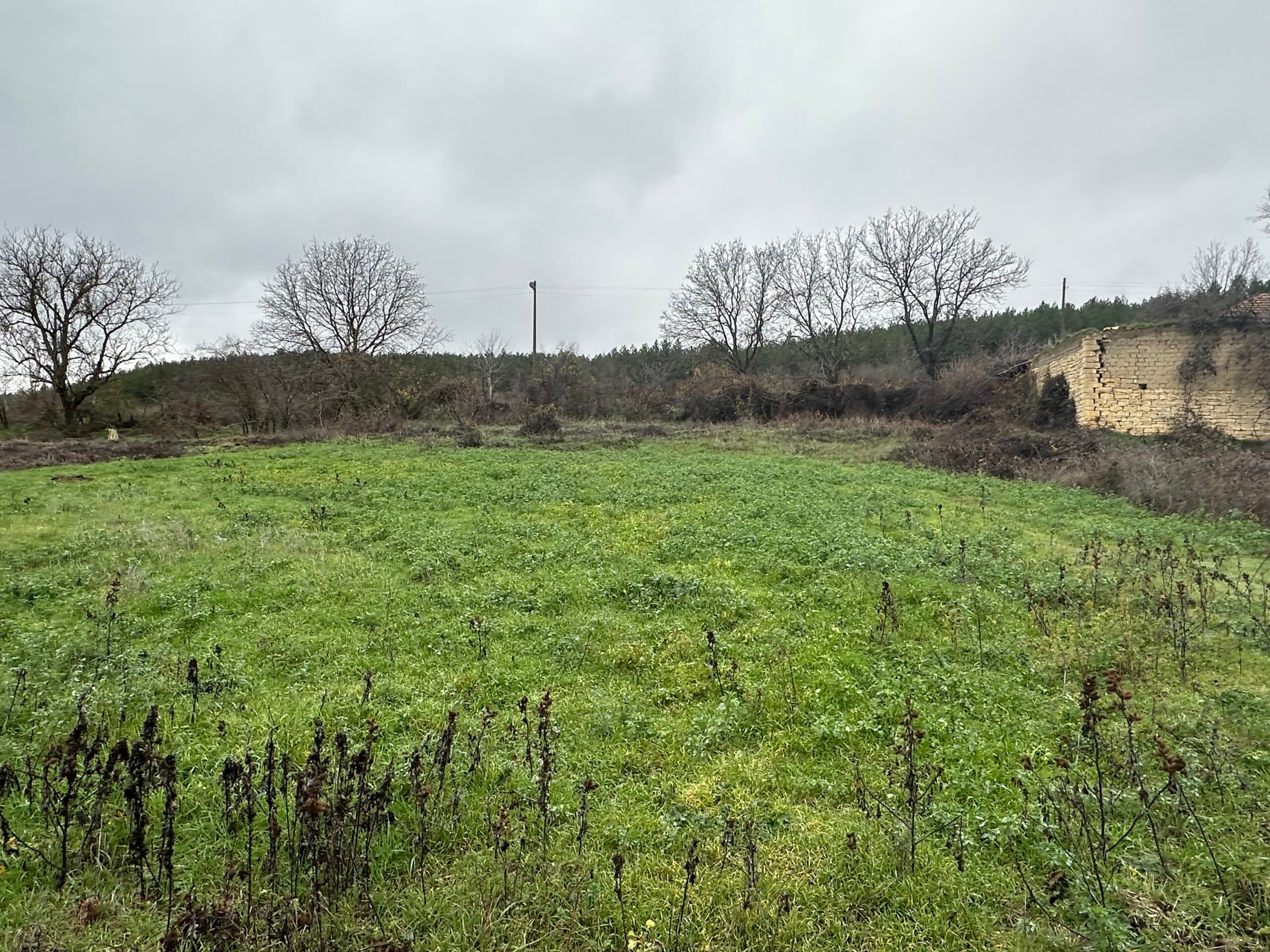 Toadstool House – Lom Cherkovna - thumbnail 14