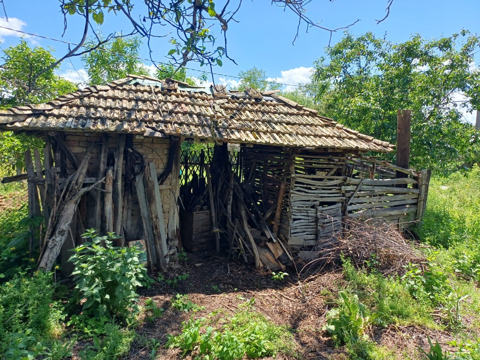 The Old Winery House – Kardam - thumbnail 6