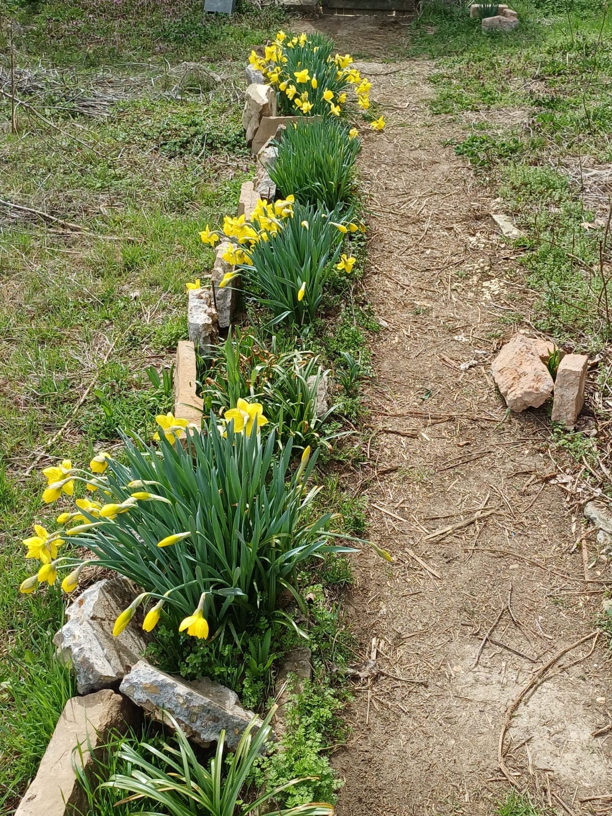 The Old Winery House – Kardam - thumbnail 9