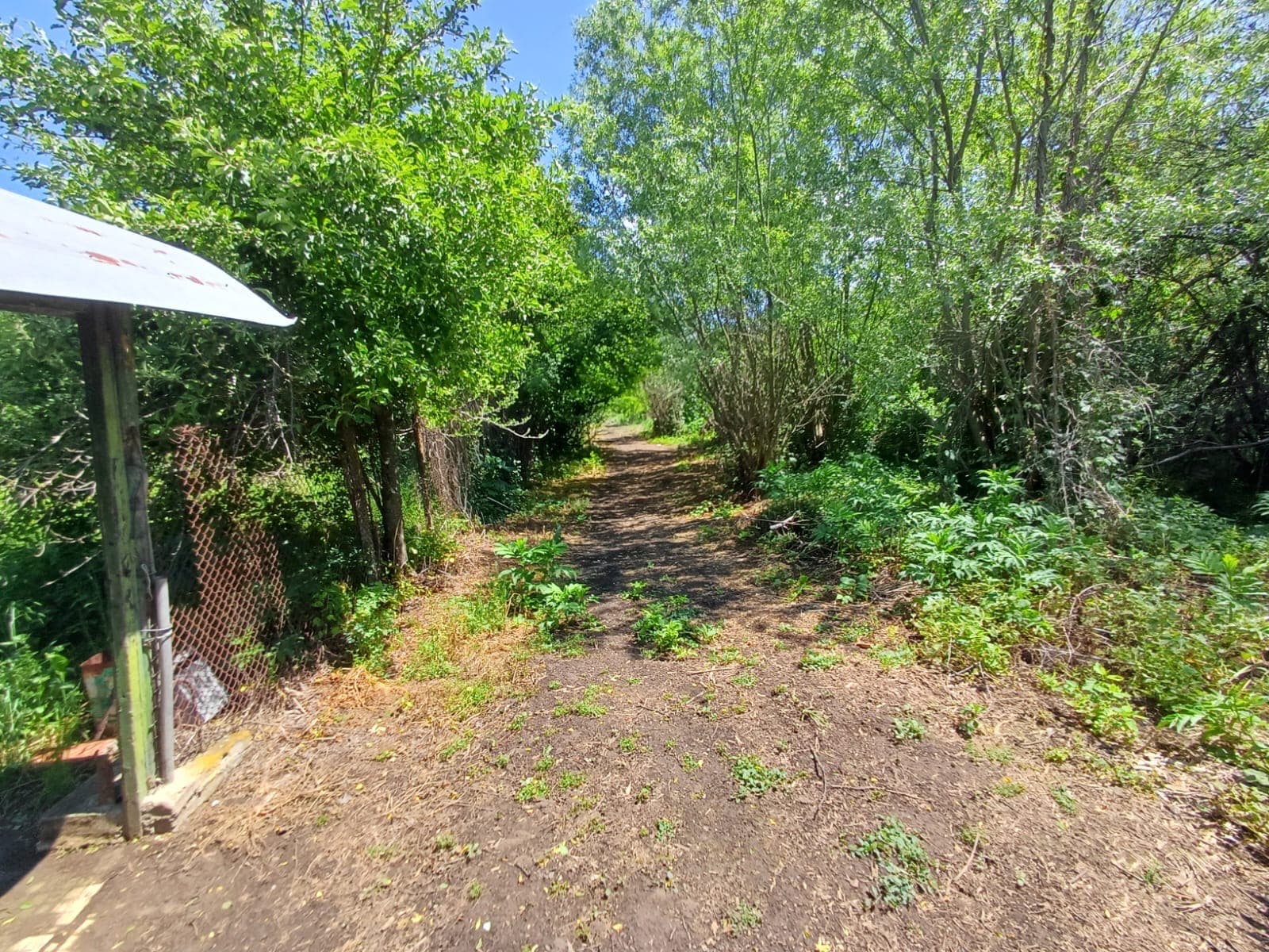 The Old Winery House – Kardam - thumbnail 18