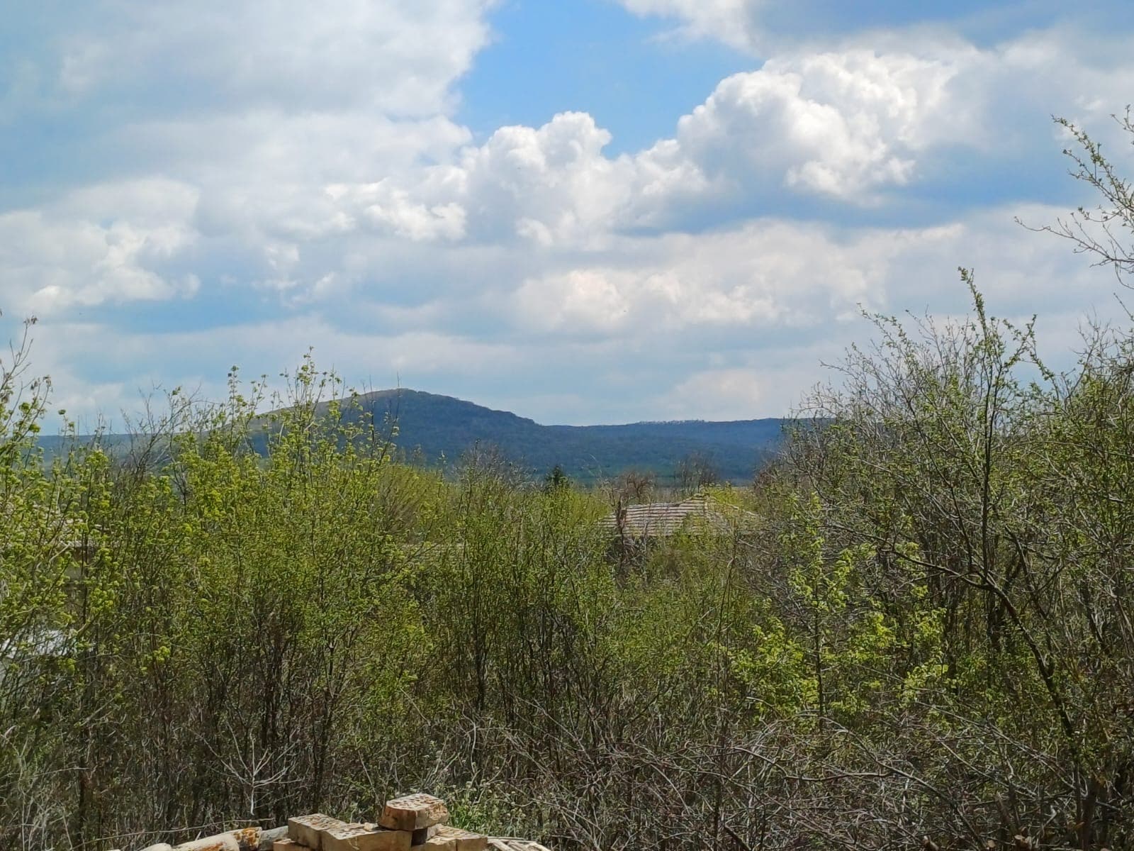 The Old Winery House – Kardam - thumbnail 2