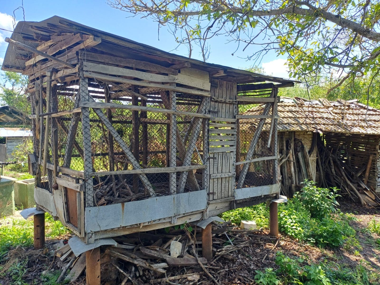 The Old Winery House – Kardam - thumbnail 7