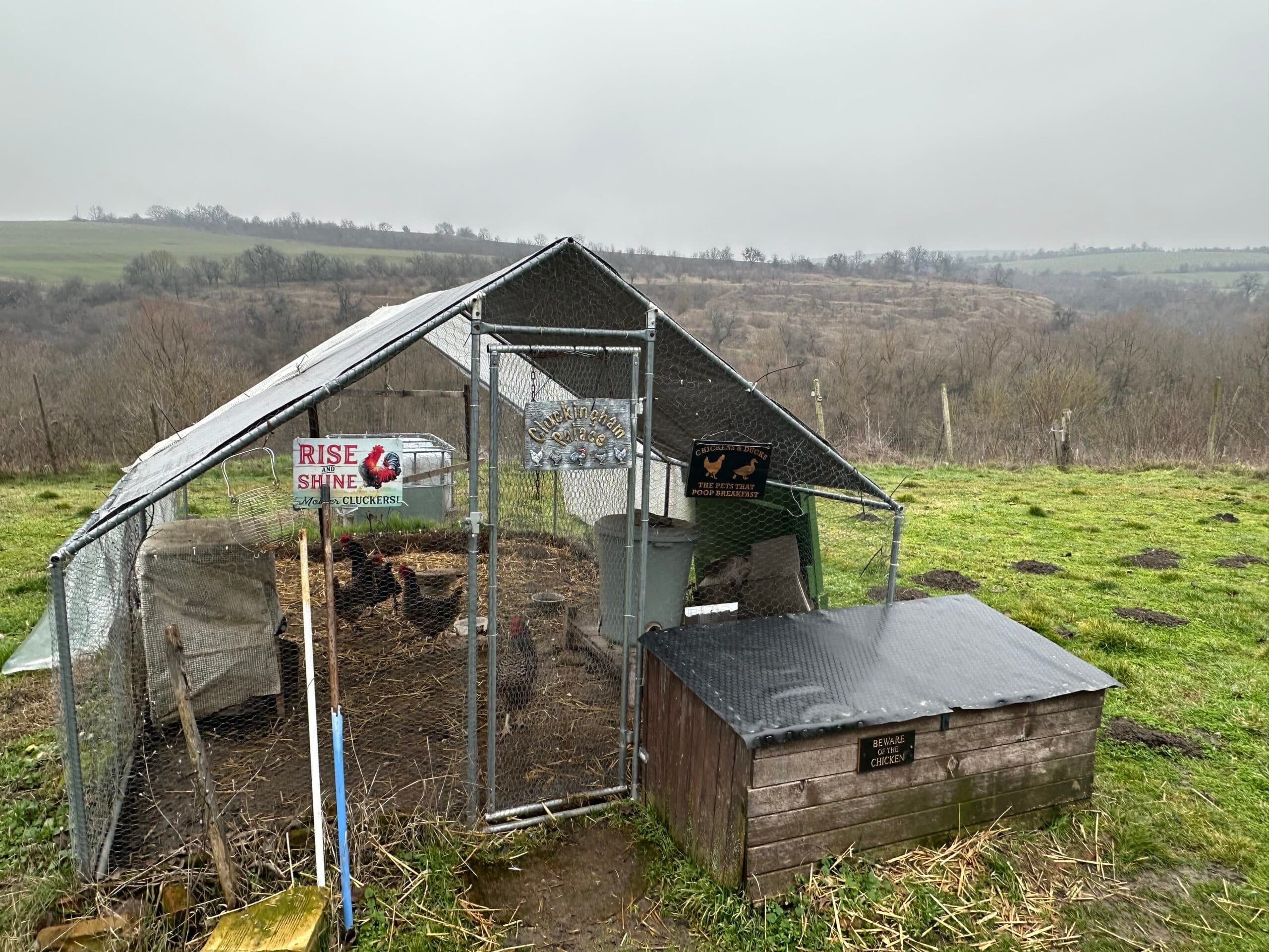 Hill View Chiflik – Slavyanovo - thumbnail 16