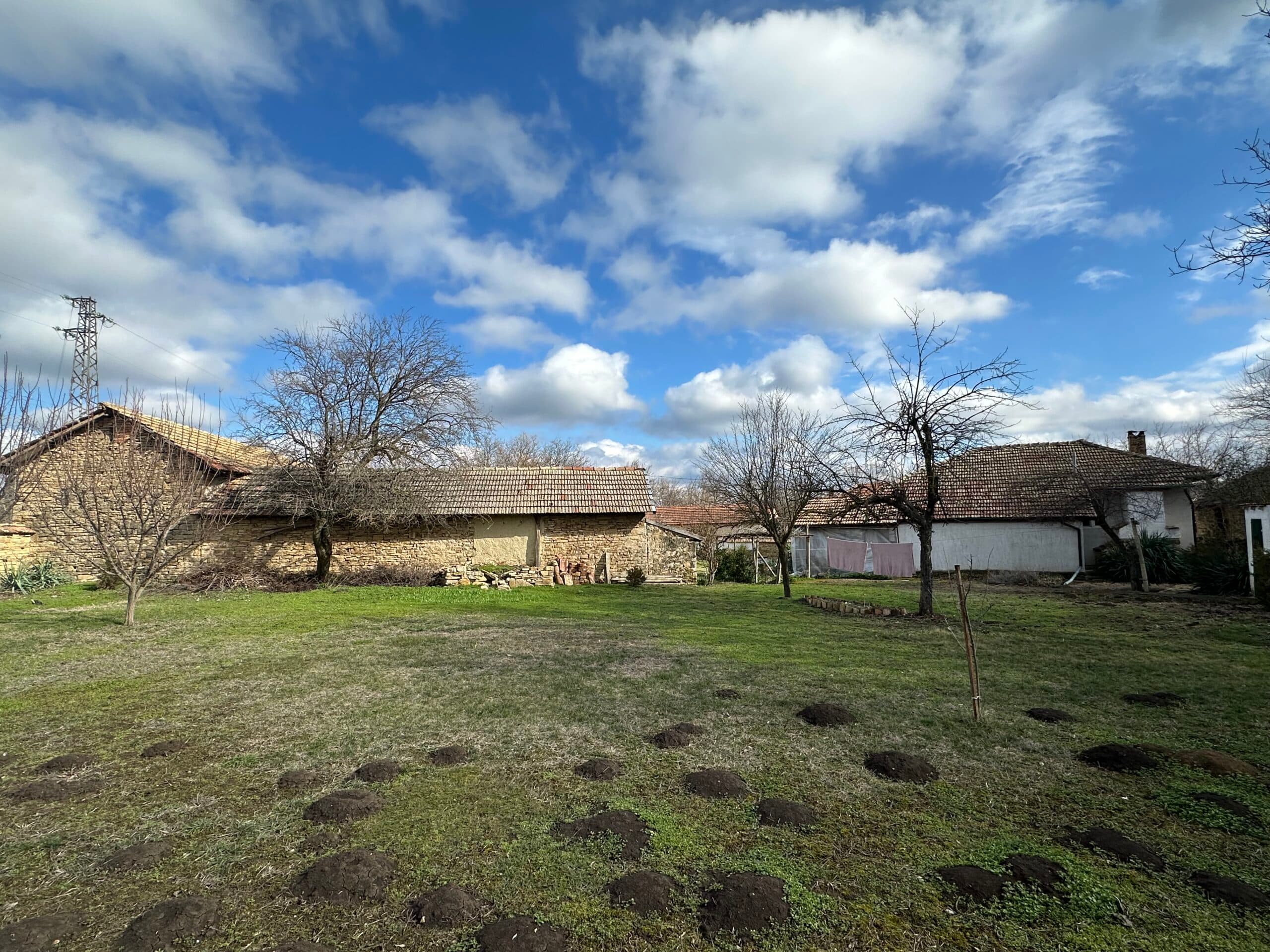 Gingerbread House – Gradina - thumbnail 10