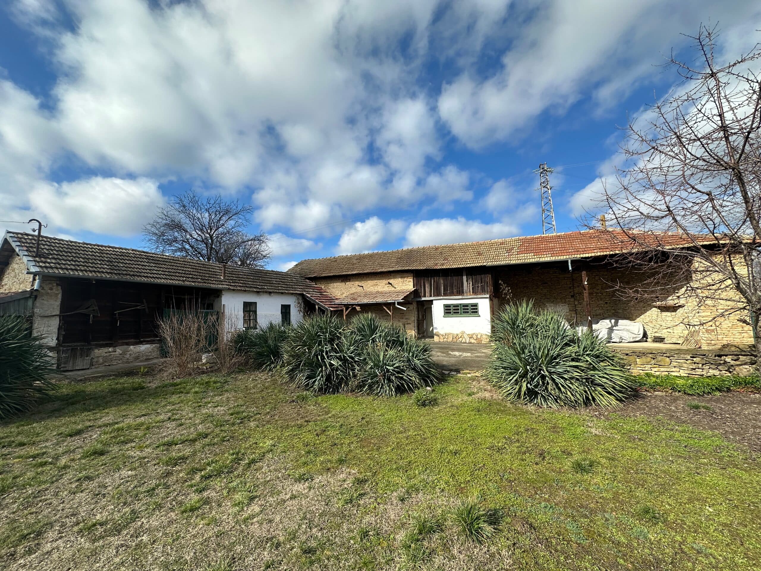 Gingerbread House – Gradina - thumbnail 9