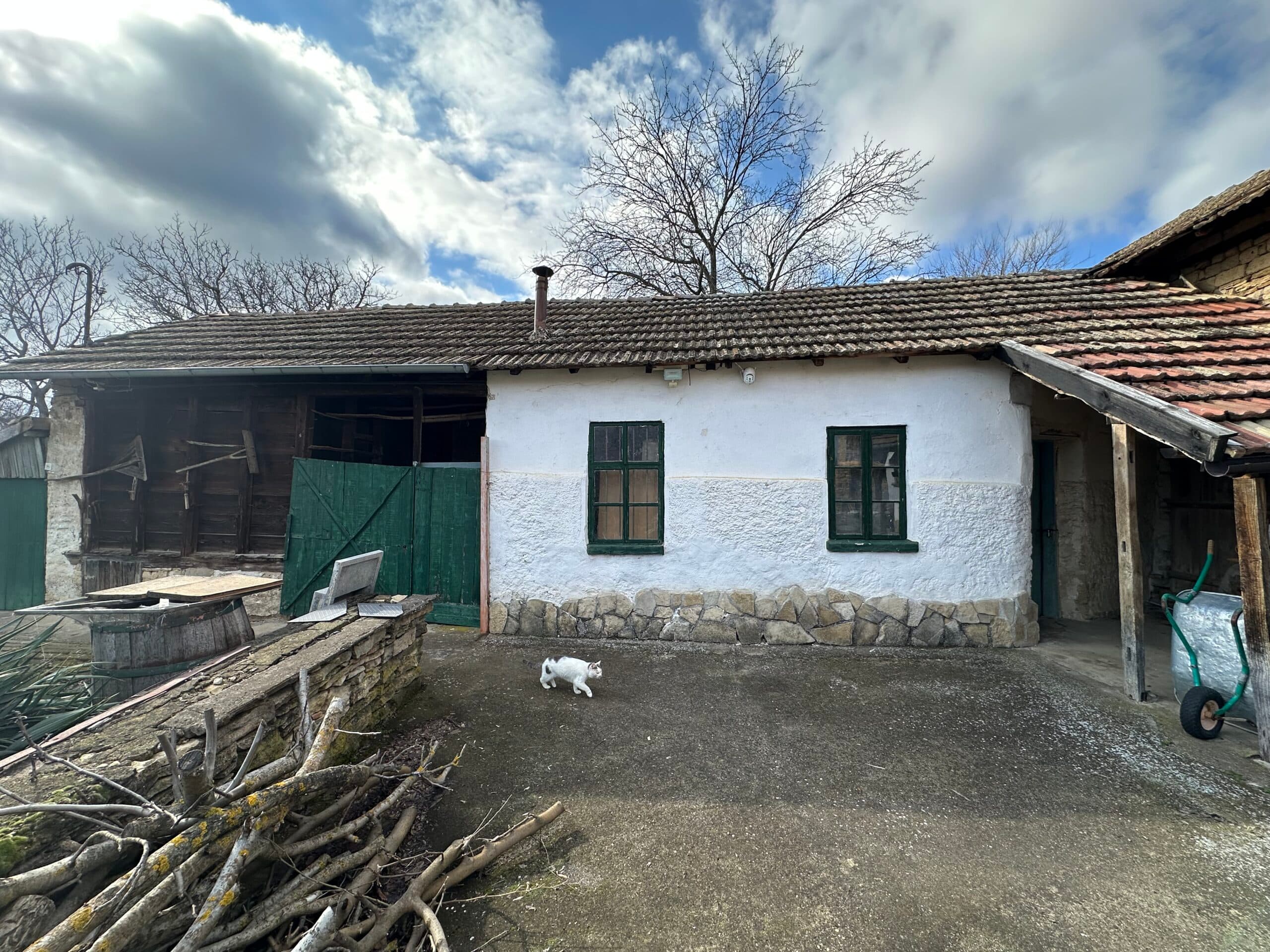 Gingerbread House – Gradina - thumbnail 7