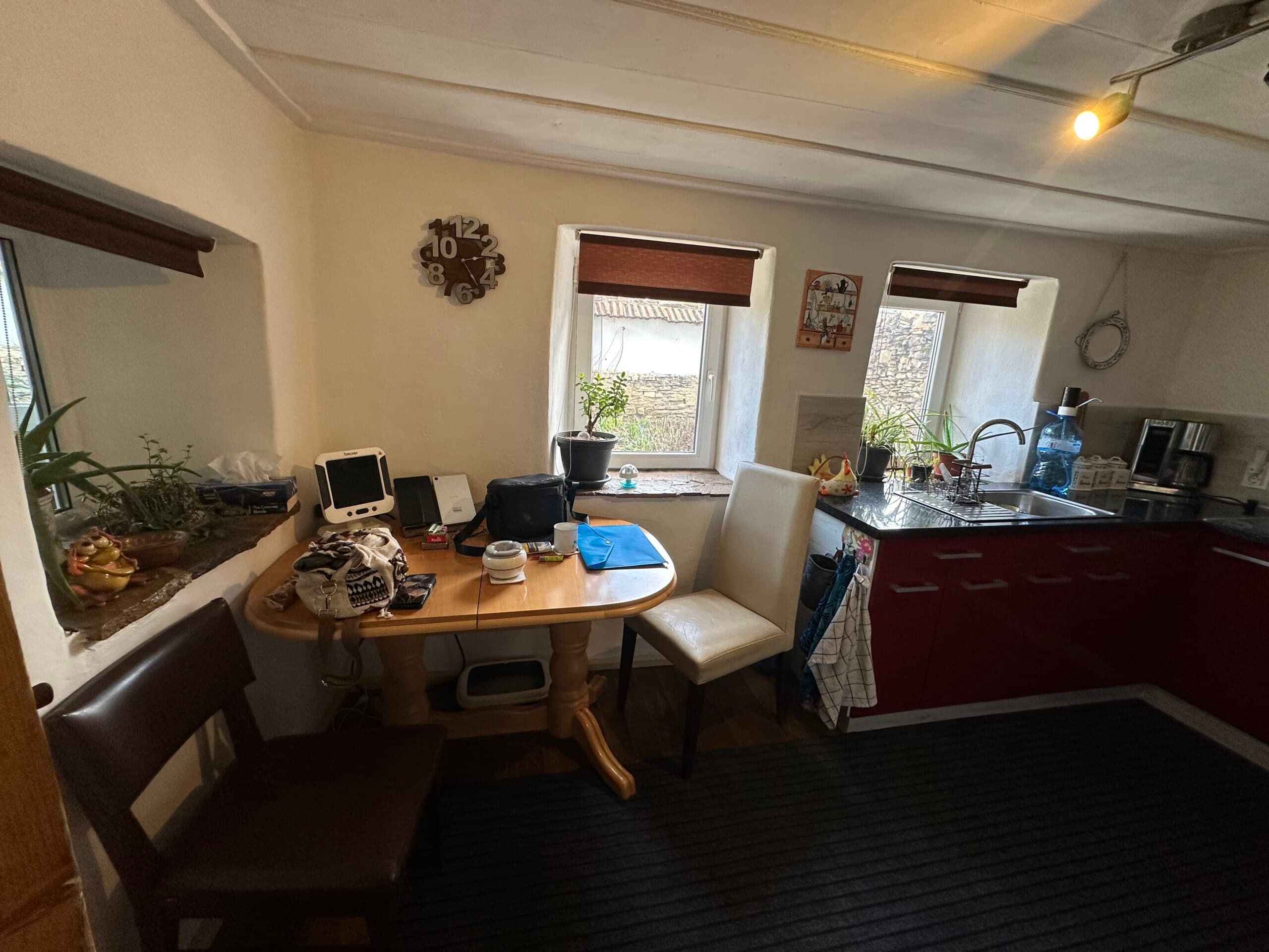 Gingerbread House – Gradina - thumbnail 5