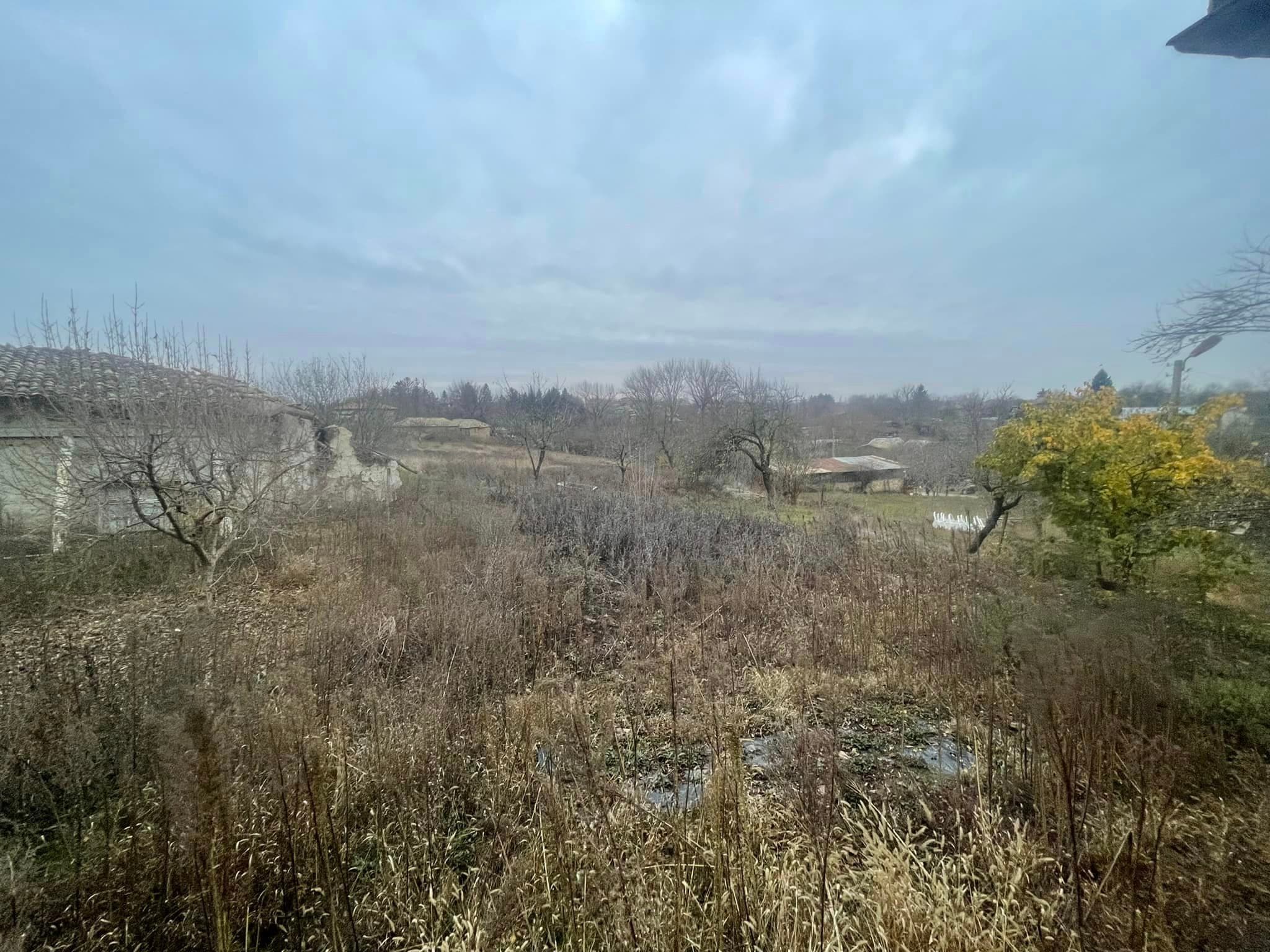 Lemon Balm Meadows – Nevski