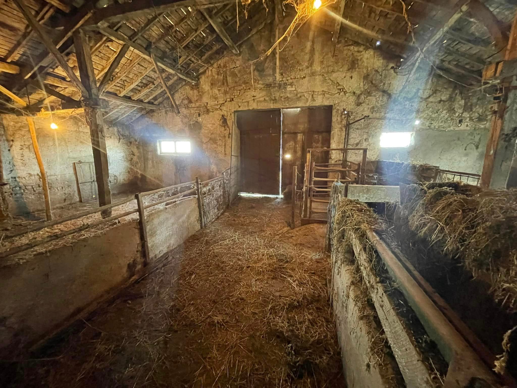 Savannah Farm – Svetlen