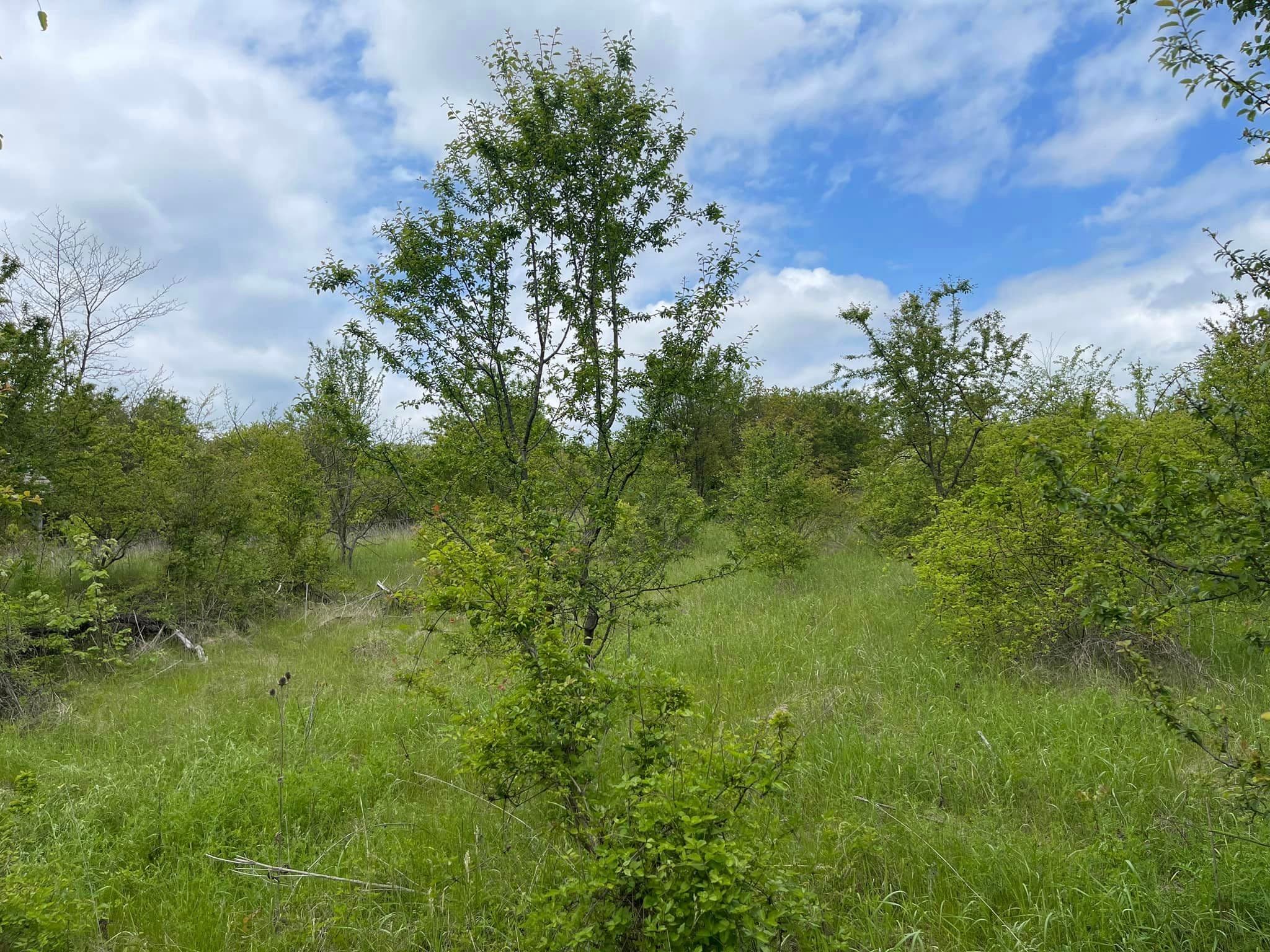 Churchview ~ Braknitsa