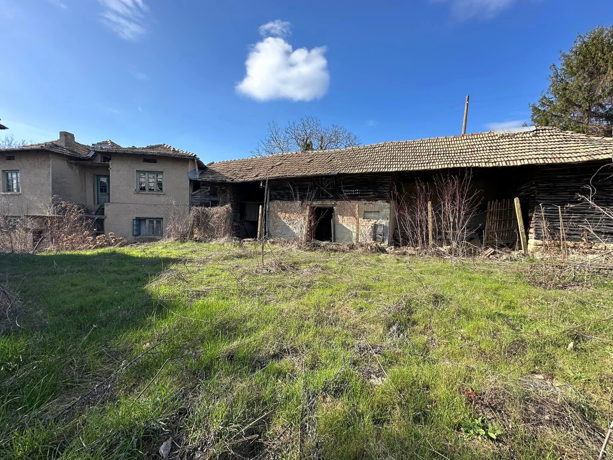 Everton House Tsar Asen